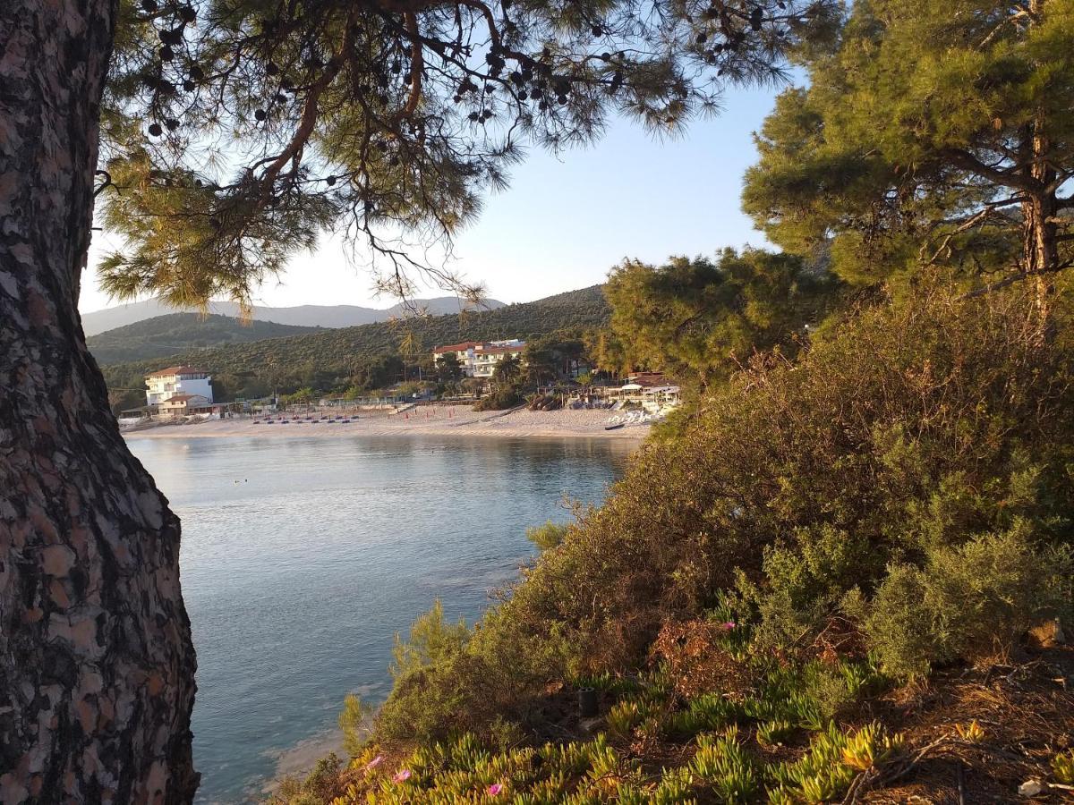 Beach Hotel Kapahi Pefkari Buitenkant foto